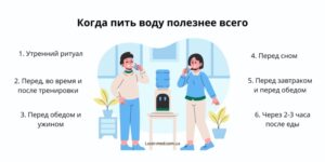 Когда пить воду полезнее всего